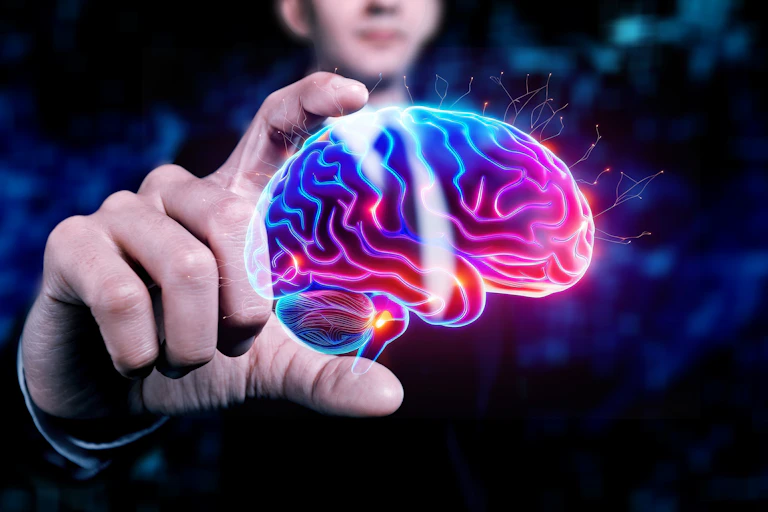 Image de cerveau dans les mains d'un homme