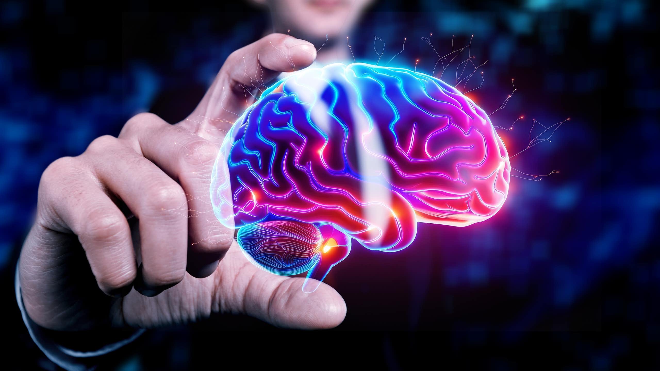 Image de cerveau dans les mains d'un homme