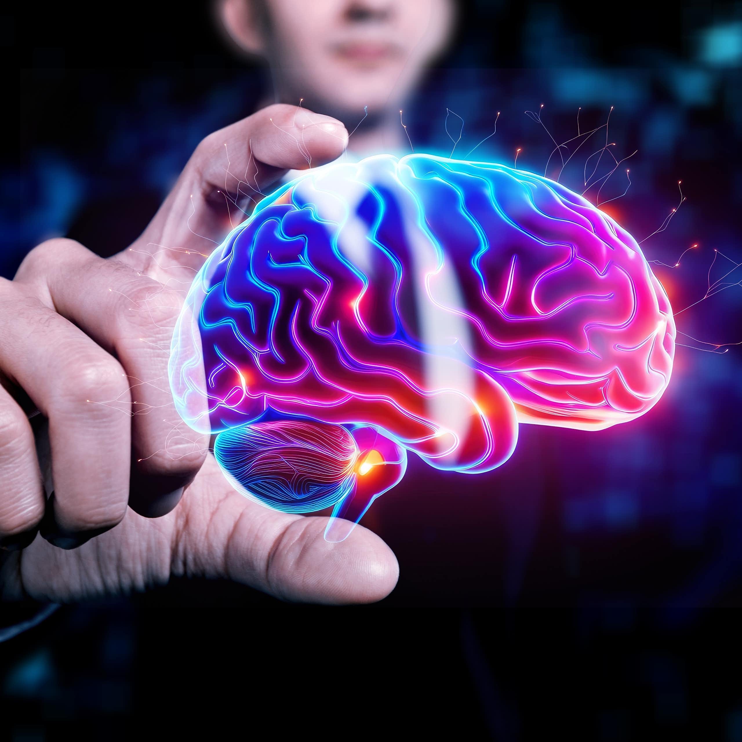 Image de cerveau dans les mains d'un homme