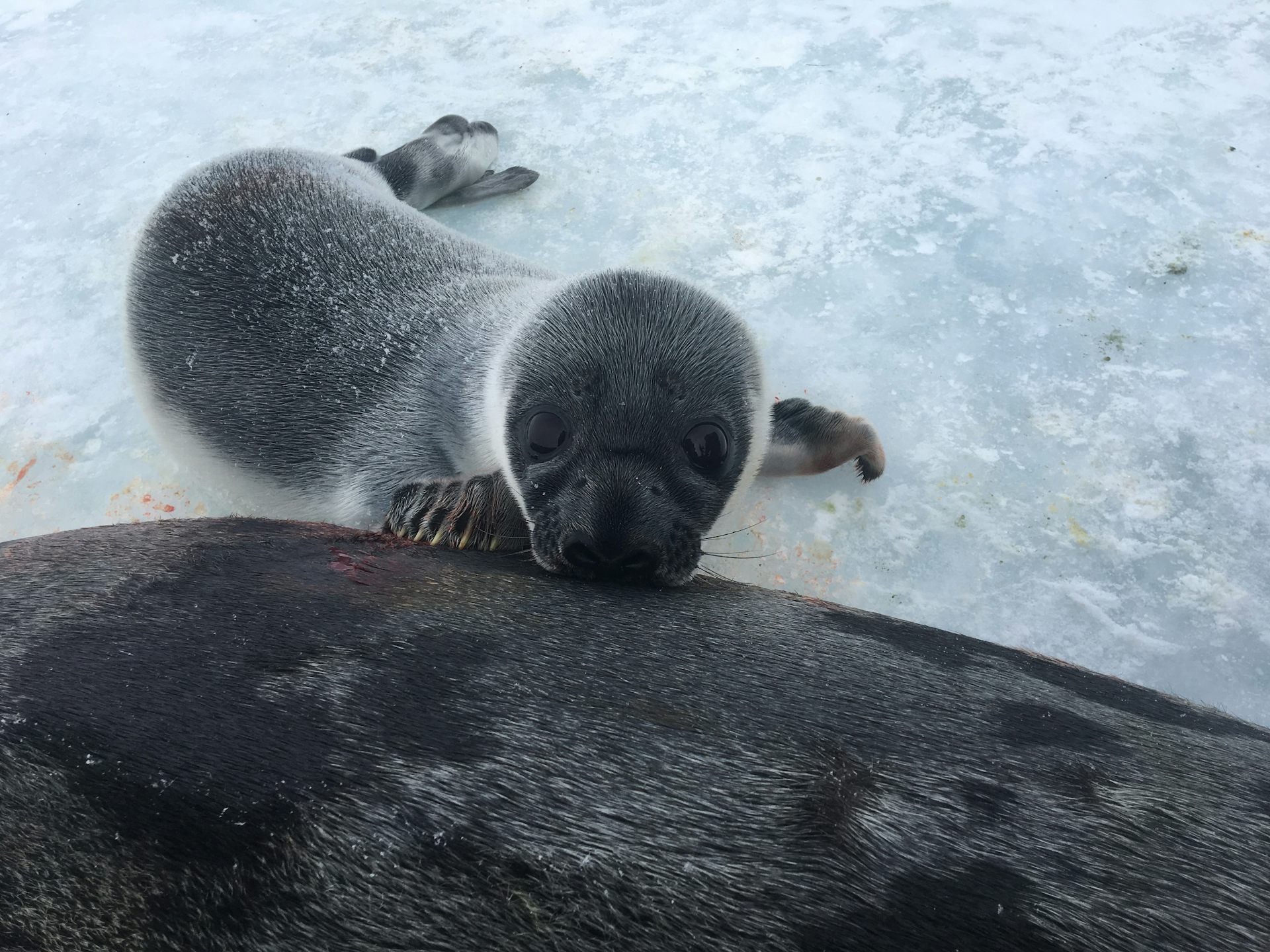 file 20250804 76 b1gsmg.JPG?ixlib=rb 4.1