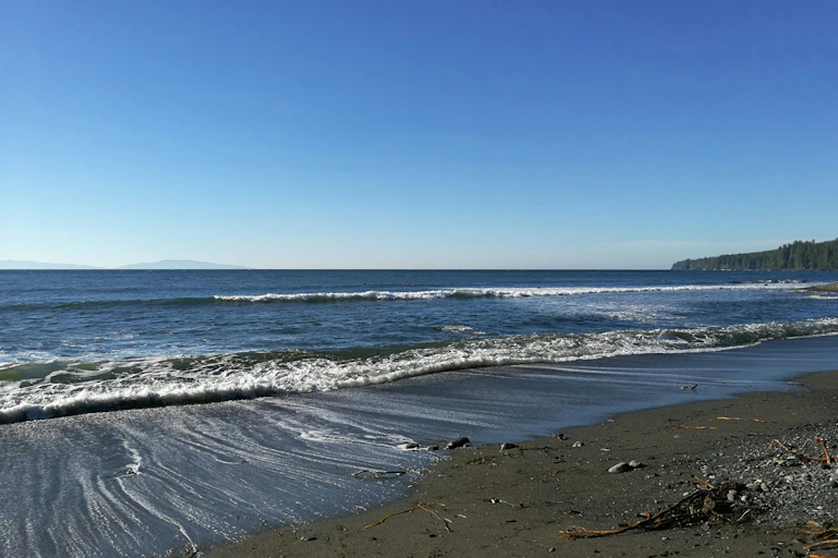 View of an ocean from a beach, trees can be seen in the background further down the beach