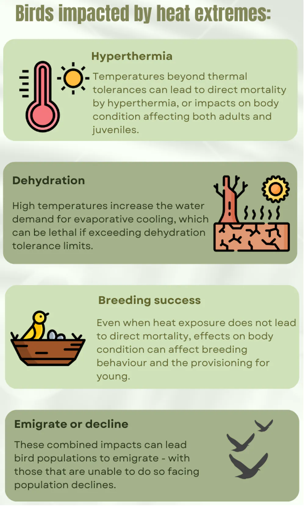 What Temperature is Too Hot for Birds: Essential Safety Tips