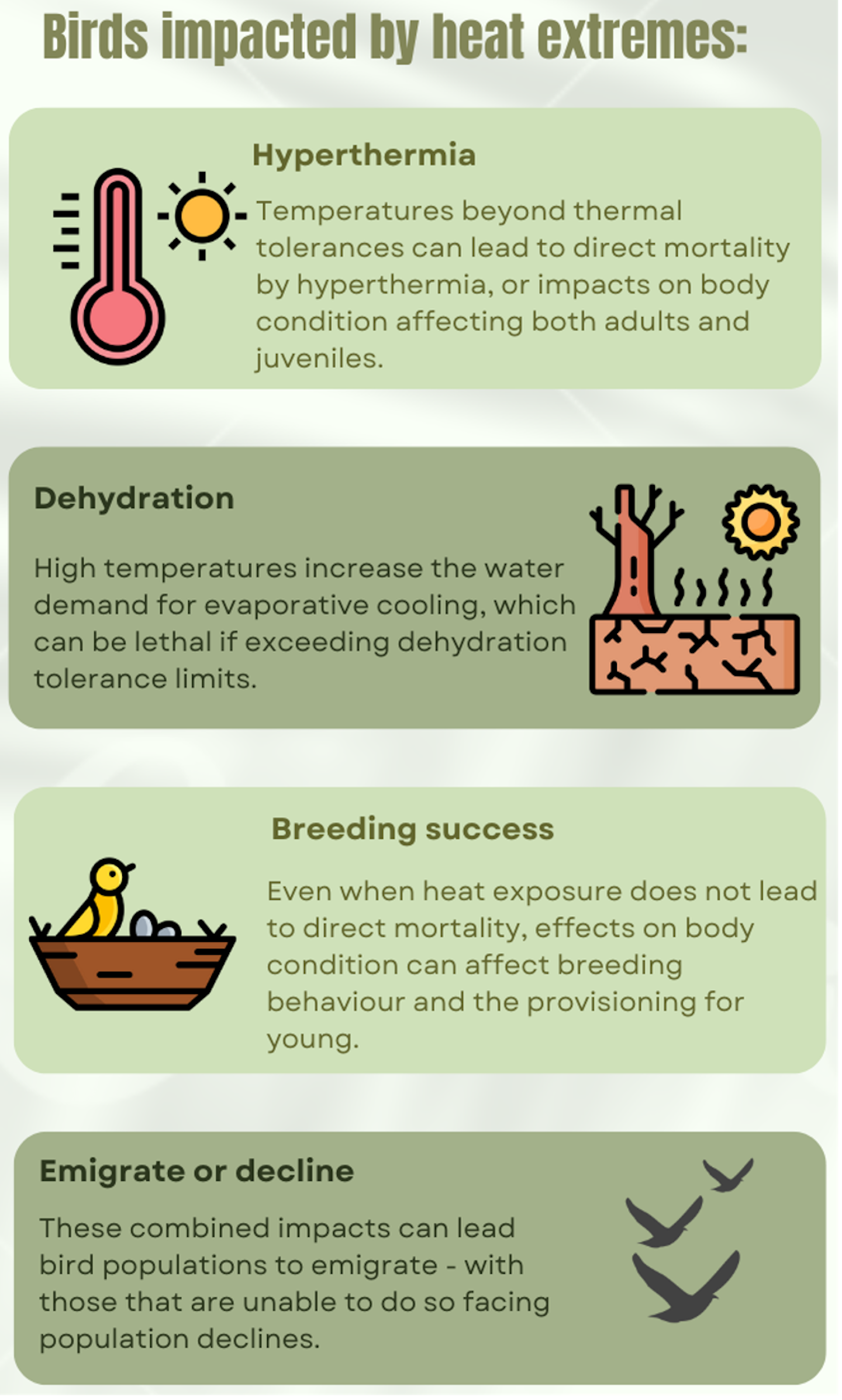 Infographic describing how birds are impacted by heat extremes