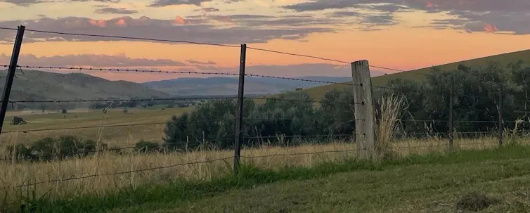A photo showing green pasture in the foreground, with dry fields and sunset in the background.