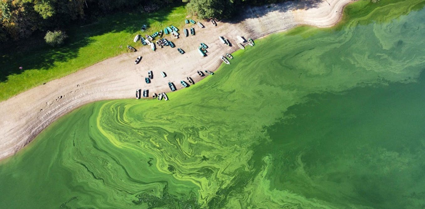 How Luxembourg detects microbes in its water supply before they pose a health riskMicrobes in water are like invisible travellers – and some c...