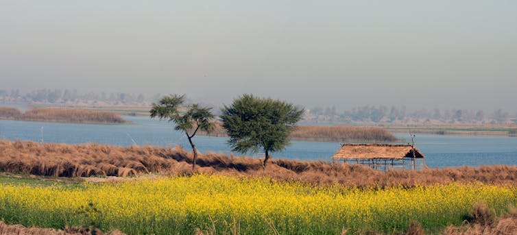 A thatched shelter on the banks of the Indus River.