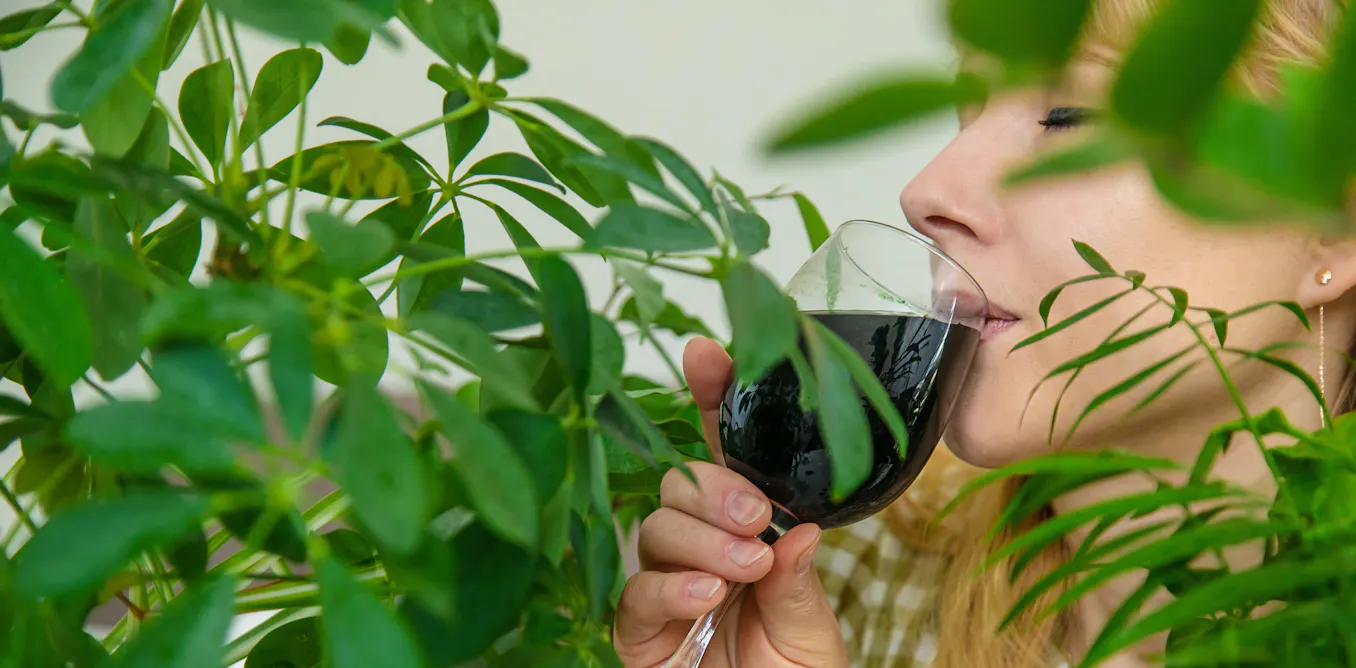 From clear skin to detoxing, chlorophyll and collagen supplements promise a lot, but what does the science say? From clear skin to detoxing, chlorophyll and collagen supplements promise a lot, but what does the science say?