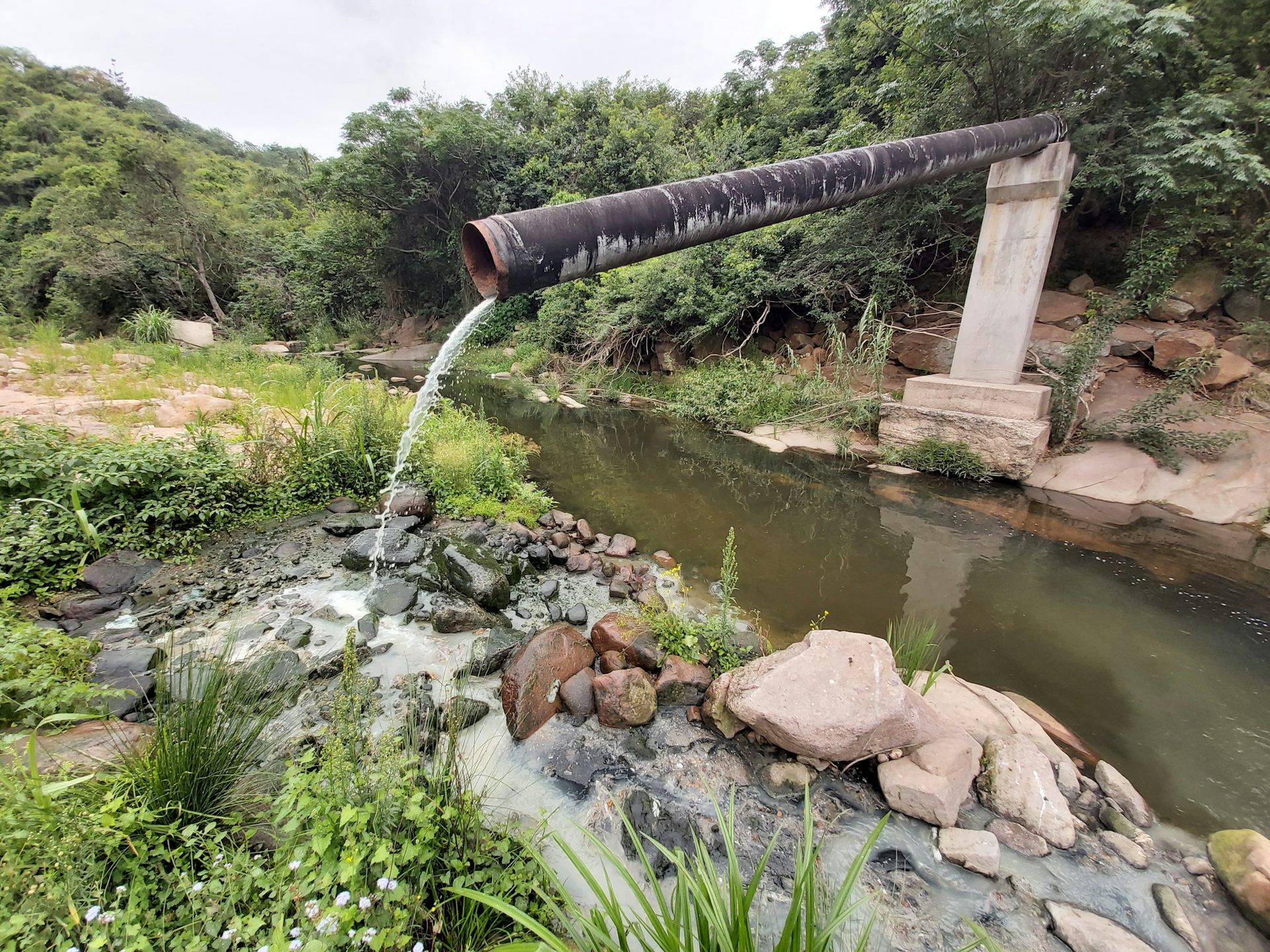 A sewage pipe juts out into the air and dirty wastewater spills from it into a stream