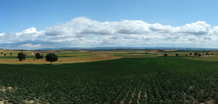 A landscape in Troy