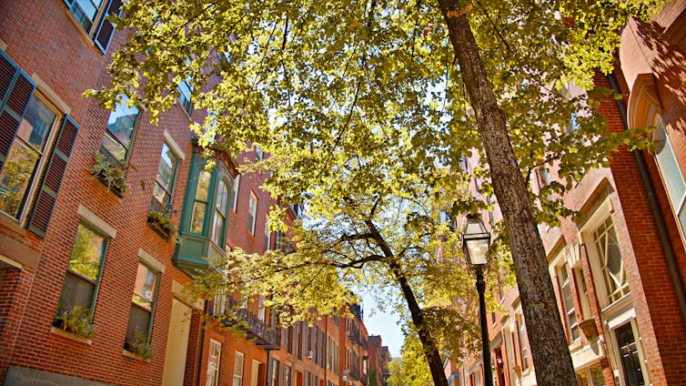 Inside an urban heat island, one street can be much hotter than its neighbor – new tech makes it easier to target cooling projects Inside an urban heat island, one street can be much hotter than its neighbor – new tech makes it easier to target cooling projects