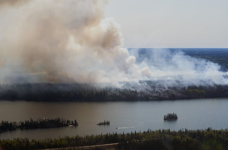 Una gran foto de aire de corcho de un humo blanco que se eleva desde el área del bosque