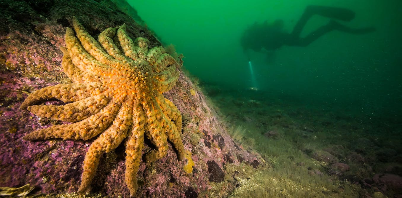 How our team uncovered a decade-long mystery How our team uncovered a decade-long mystery