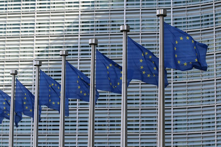 A row of EU flags on poles fly in front of a large office building