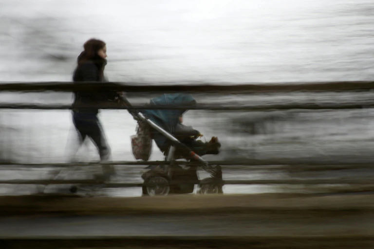 A woman pushes a toddler in a stroller on an overcast day.