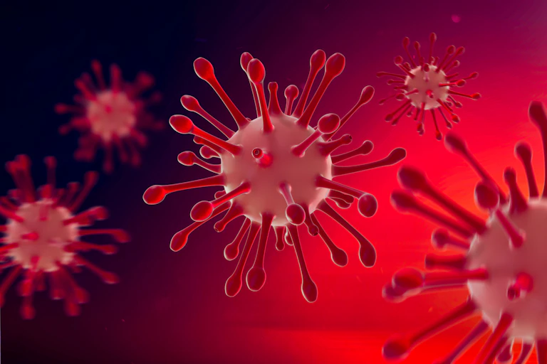 A digital drawing of a COVID virus in the body.