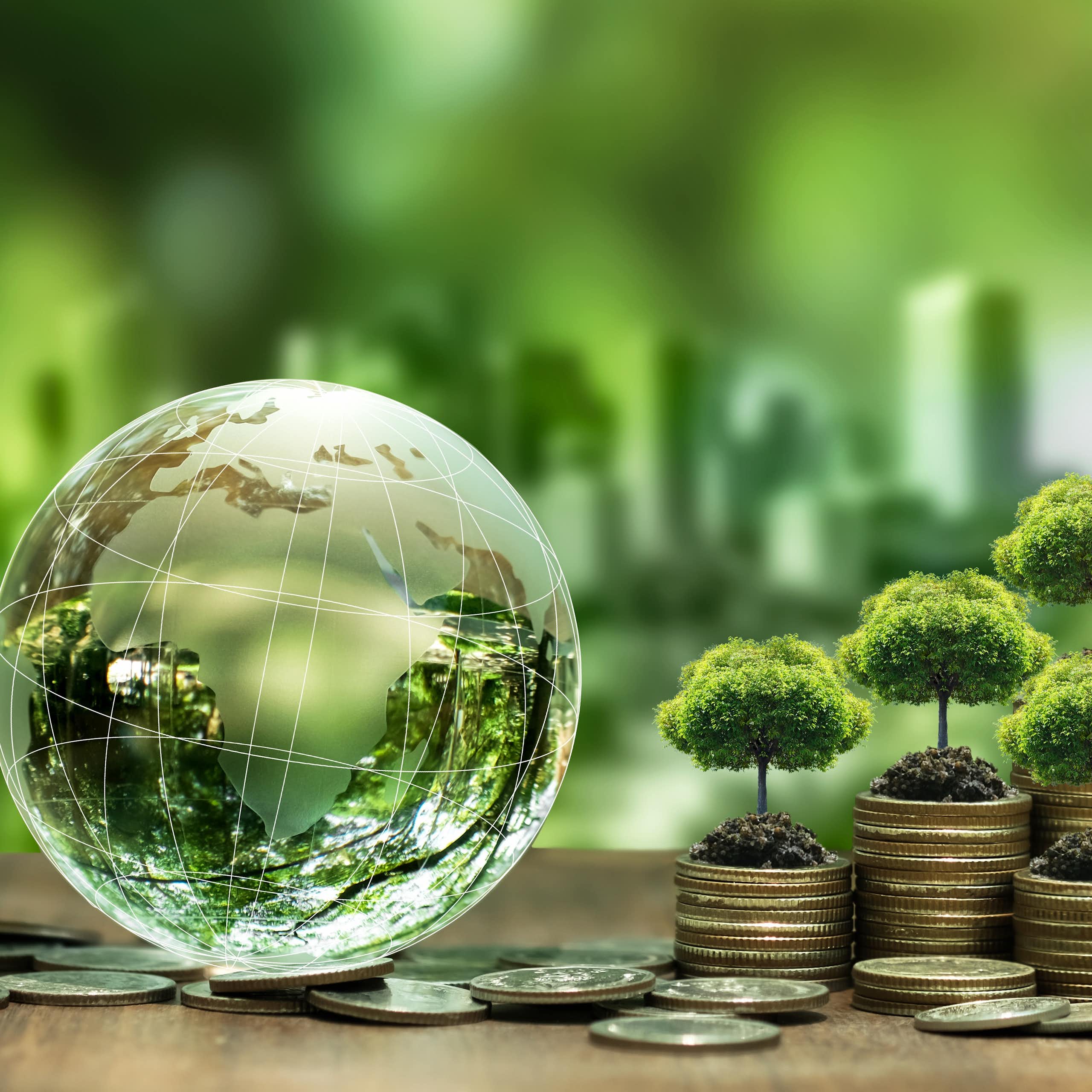 A glass globe featuring Africa next to a pile of coins with trees growing out of them, depicting climate finance