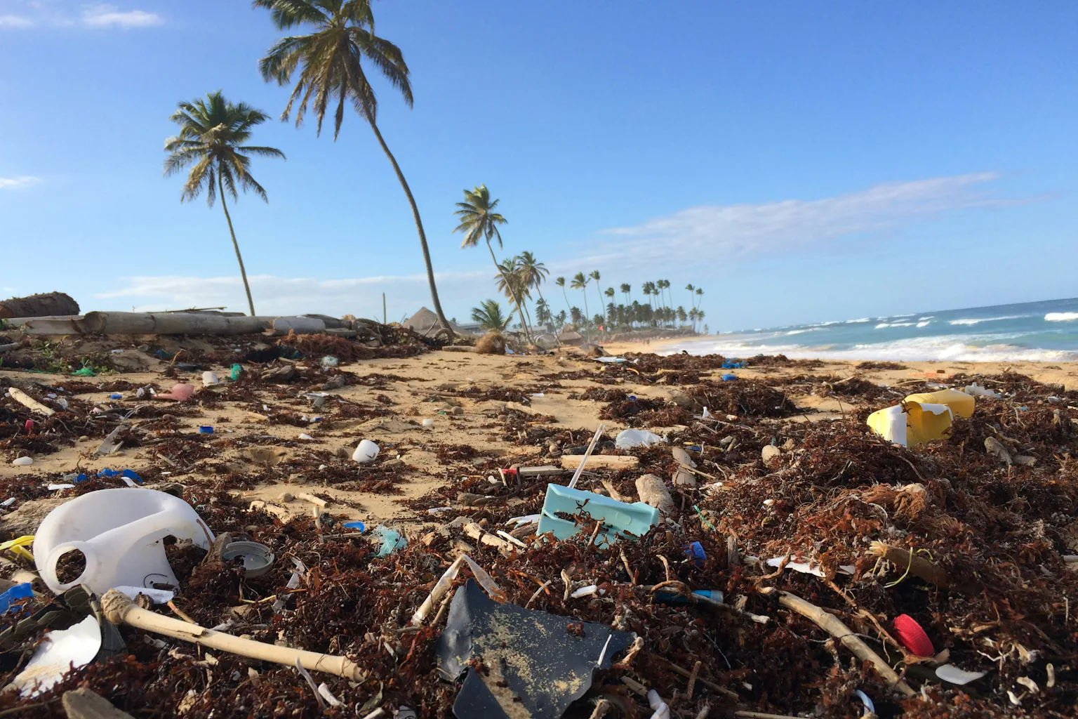 How microbes could help solve the world's plastic pollution crisis