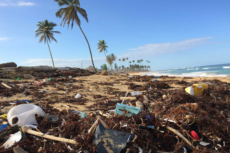 Rubbish washed up on island beach