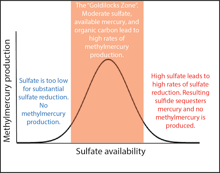 A chart shows how too little or too much sulfates won't have an effect.