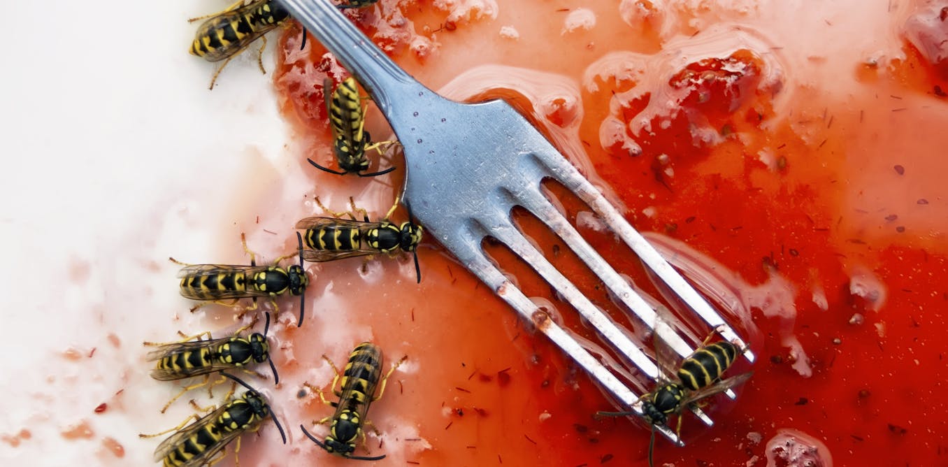 Qué hacer cuando las avispas arruinan el momento de la comida
