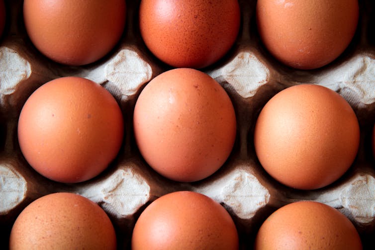 Eggs in an egg box.