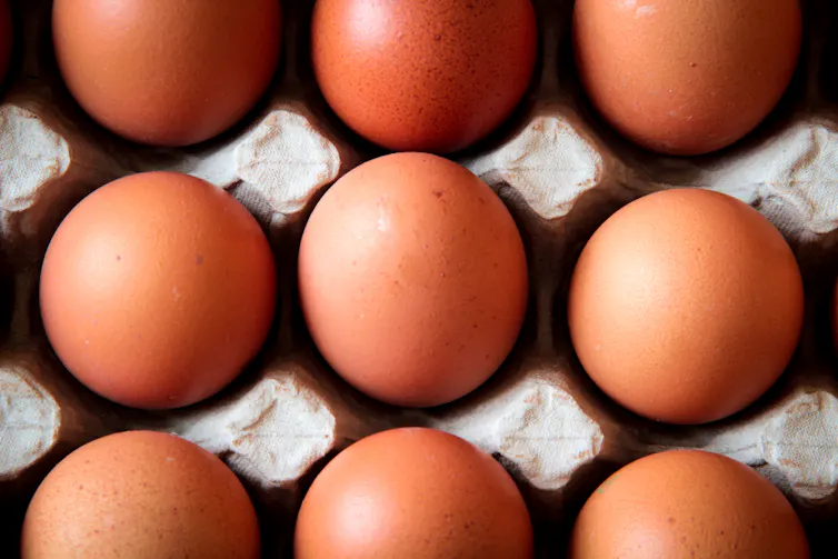 Eggs in an egg box.
