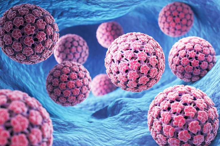 A digital drawing of human papillomavirus cells inside the body.