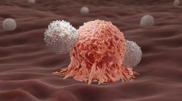 A digital depiction of T-cells attacking a cancer cell.
