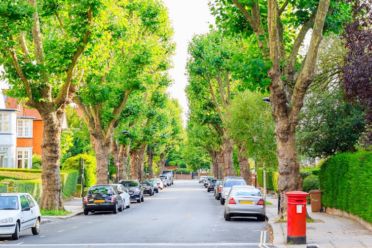 trees along streets, cars parked, red post box, empty road