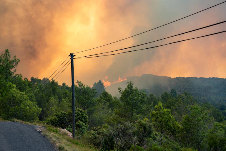 Des hectares de forêts ravagés par les flammes, le 7 Août 2025 dans le département de l'Aude.