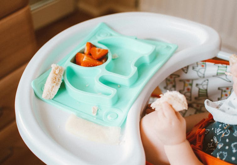 A small child in a high chair eats holds some bread. Some strawberries are left on the plate.