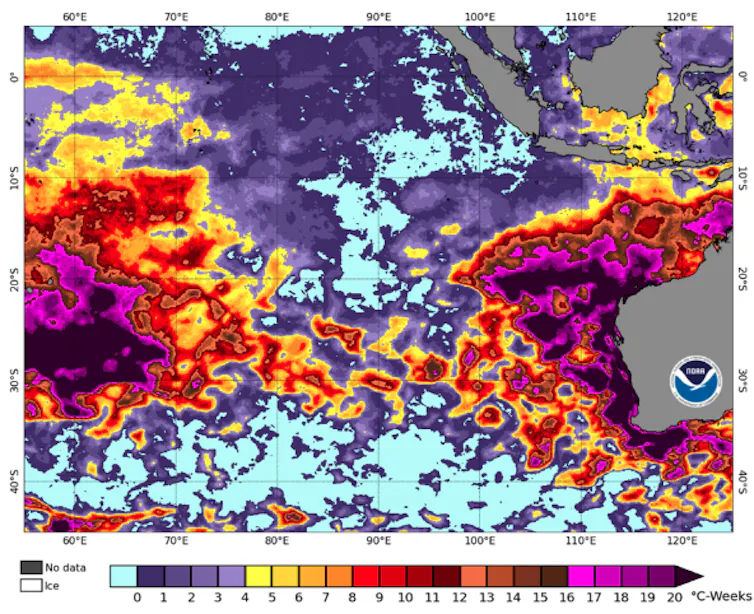 figure showing devastating marine heatwave Western Australia