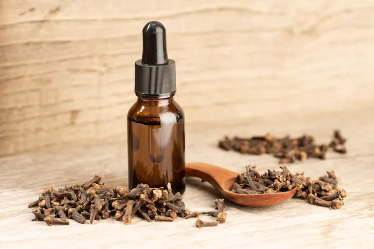 Bottle of clove oil next to dried cloves