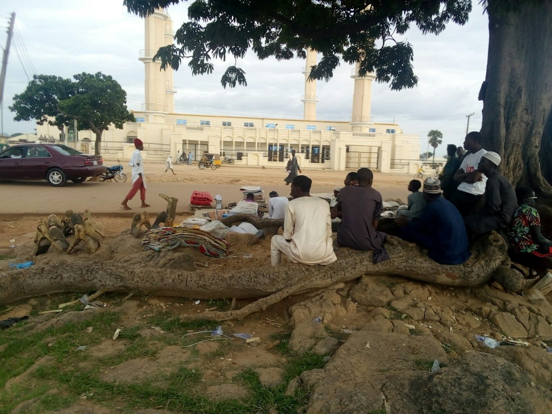 A group of people relaxing under a tree