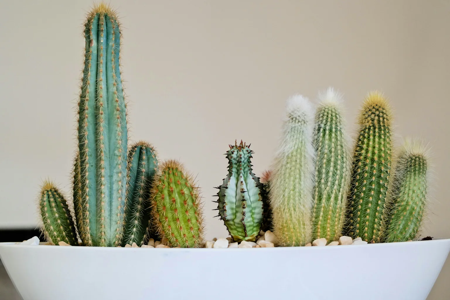 Does penis size matter? And how do I know what’s normal?