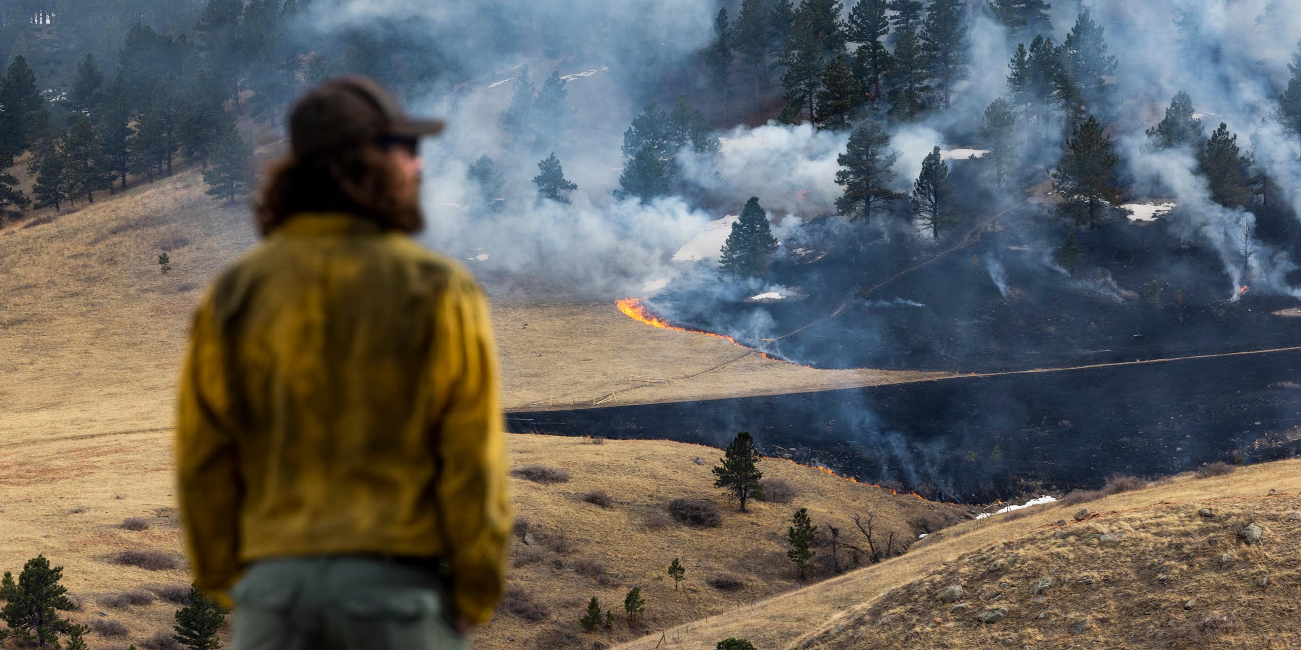 Fire creeps along a forest with brown grass and dark trees, burning as it goes. Smoke billows within the forest. An out of focus firefighter in a dirty yellow shirt and long hair watches in the foreground.