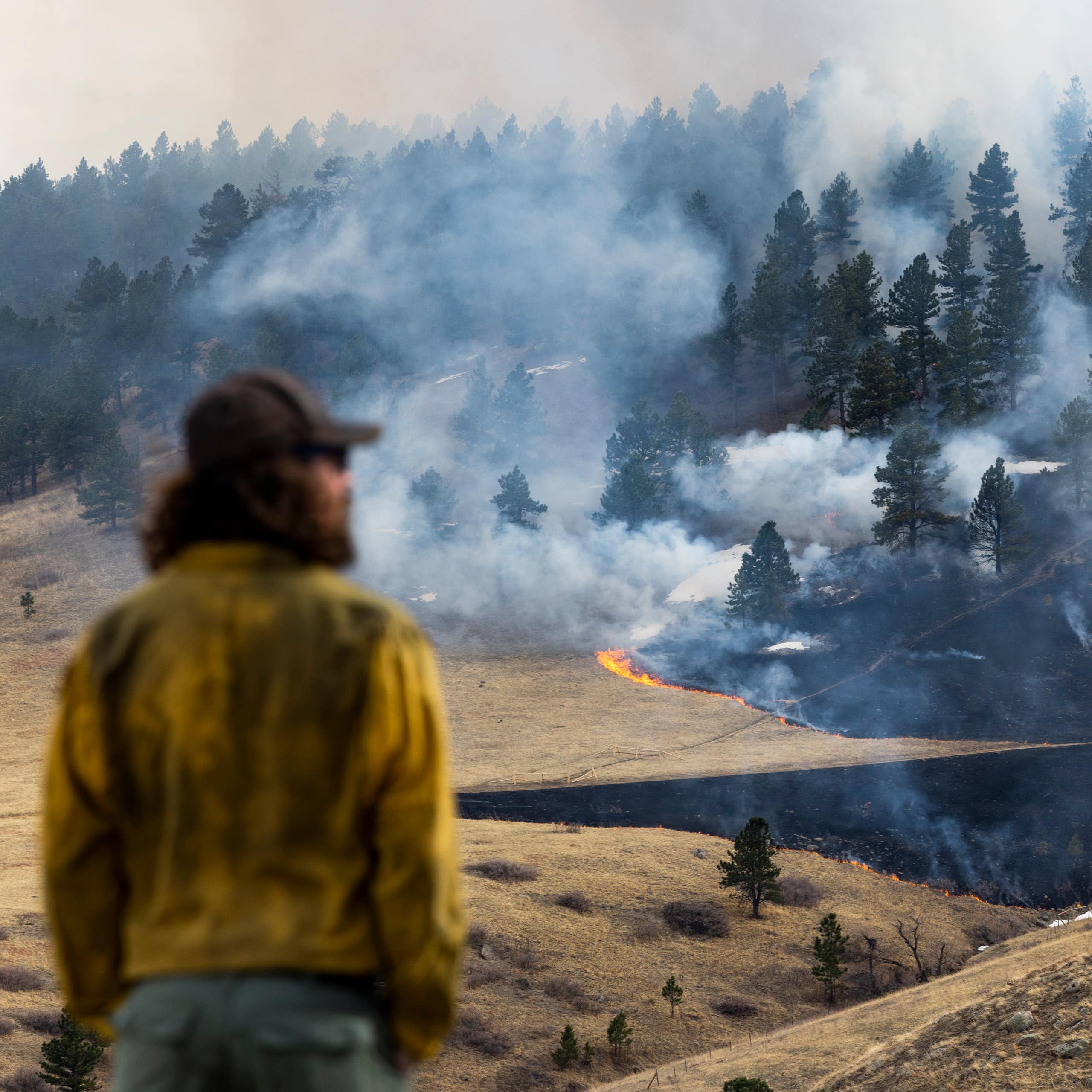 Fire creeps along a forest with brown grass and dark trees, burning as it goes. Smoke billows within the forest. An out of focus firefighter in a dirty yellow shirt and long hair watches in the foreground.