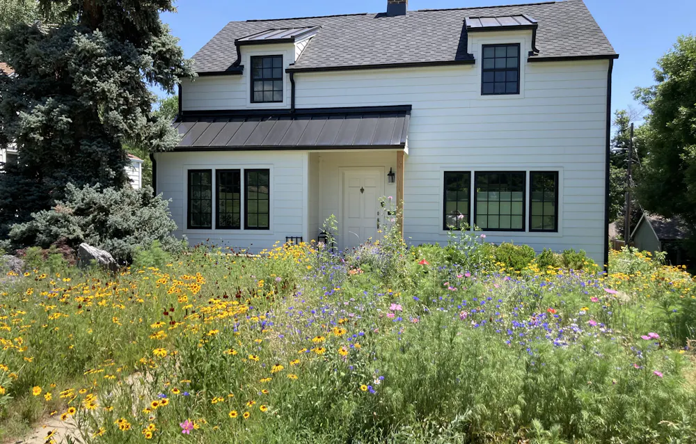A mix of annuals and perennials can look colorful and carefree. Deryn Davidson