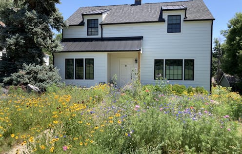 Chaos gardening – wild beauty, or just a mess? A sustainable landscape specialist explains the trend