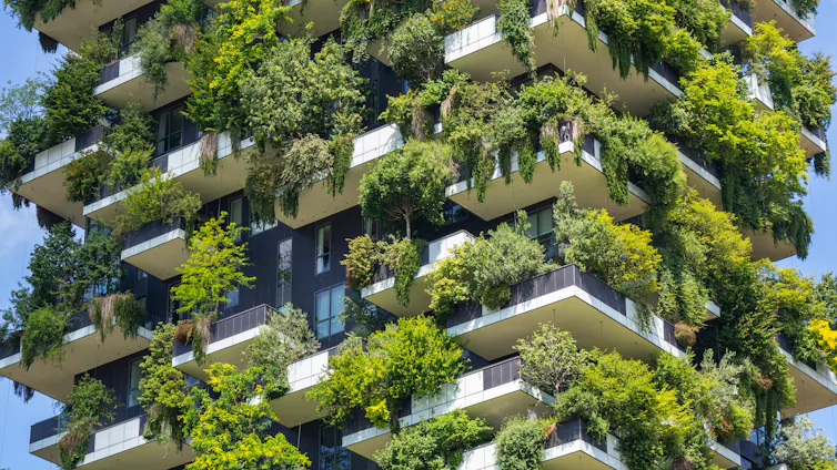 close up shot of plants growing all over surface of tower block