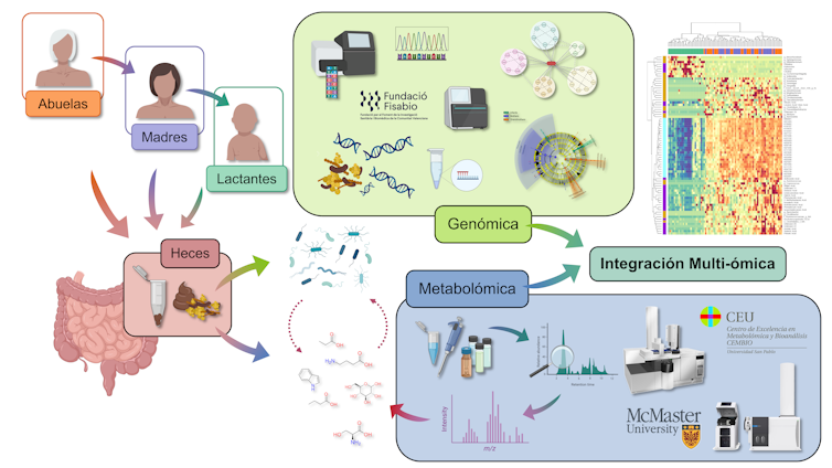 A 3-generation microbiota learn about confirms how a lot it adjustments and the way it impacts well being 1 file 20250814 56 ckefhf.png?ixlib=rb 4.1
