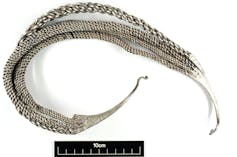 Large silver Viking-age neck-ring