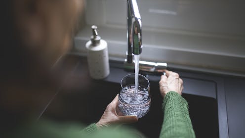 A rare ‘brain-eating amoeba’ has been detected in Queensland water. Can I catch it by drinking tapwater? Or in the shower?