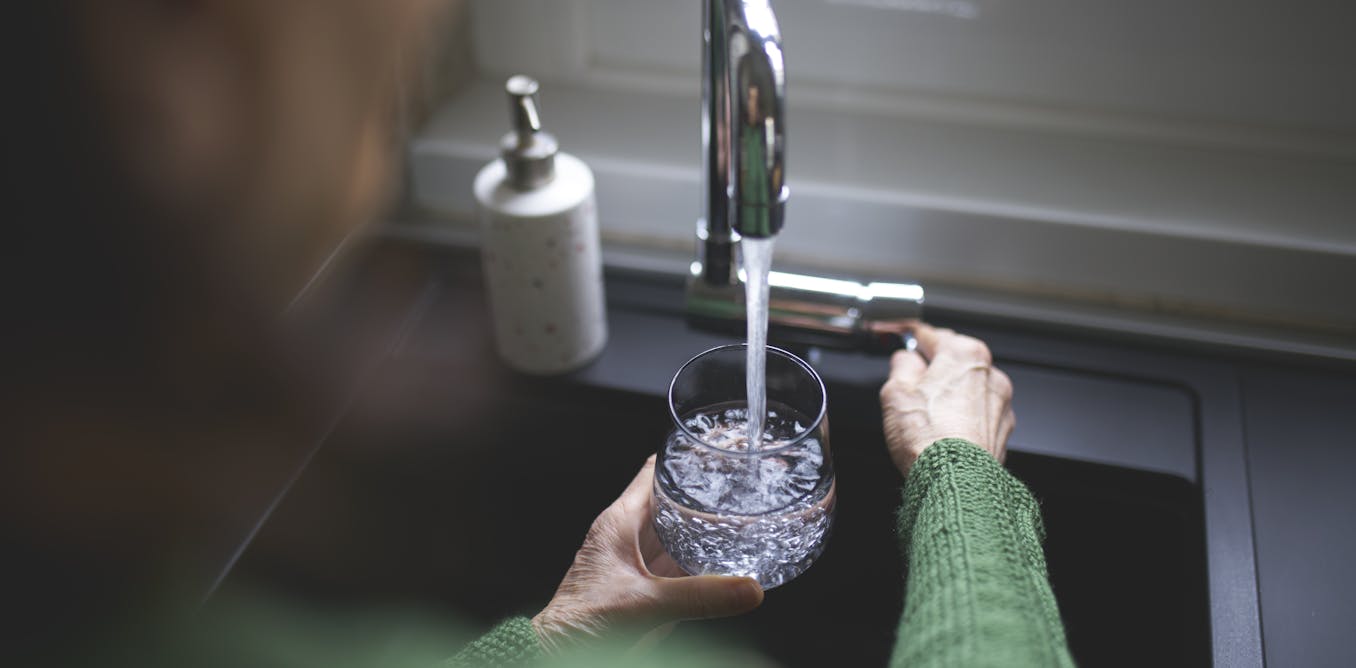 Brain-eating amoeba found in Queensland water; drinking it is not dangerous.