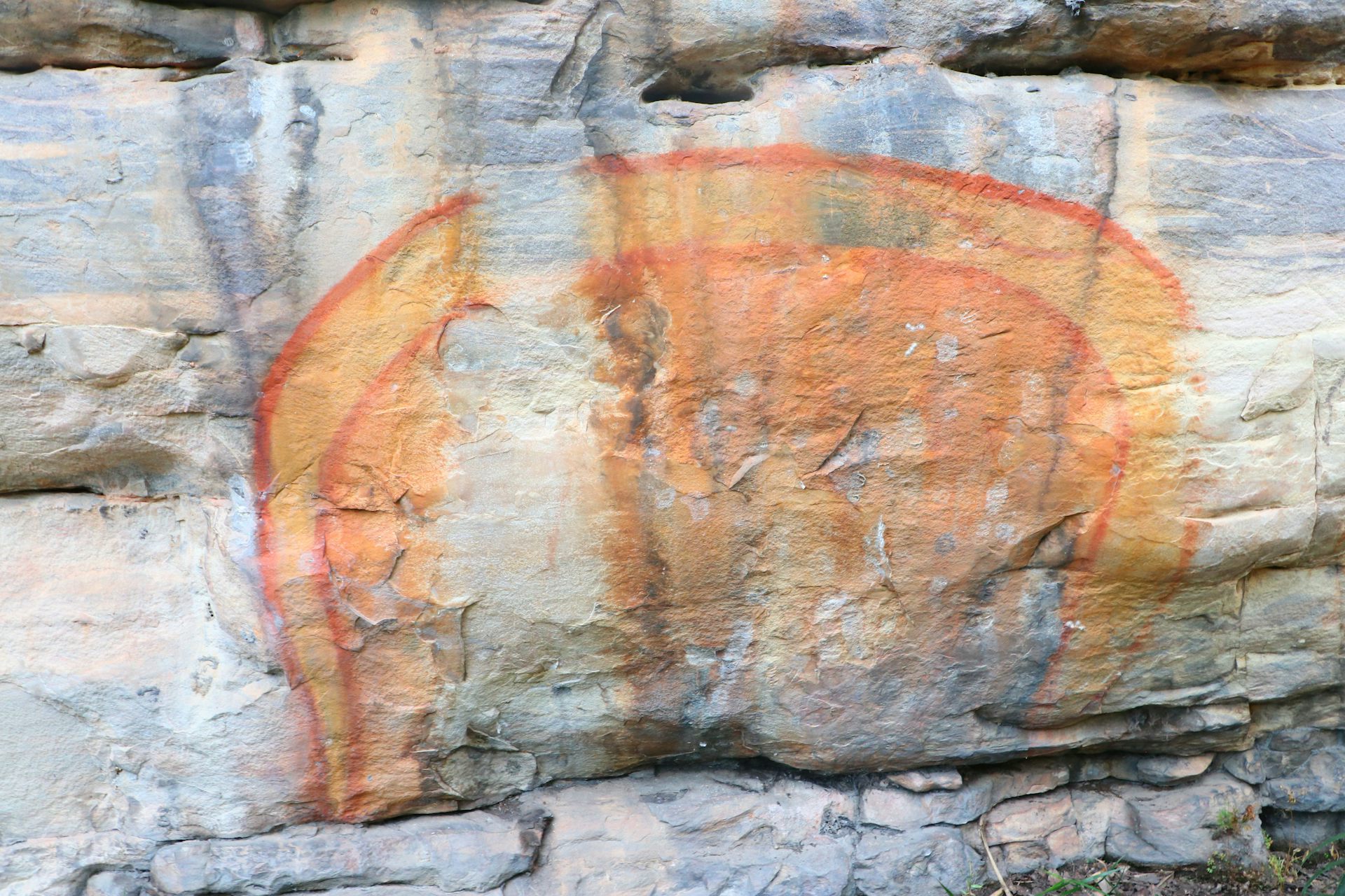 Those paintings belong to us': how an Indigenous-led project