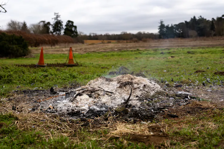 bonfire remains in empty field