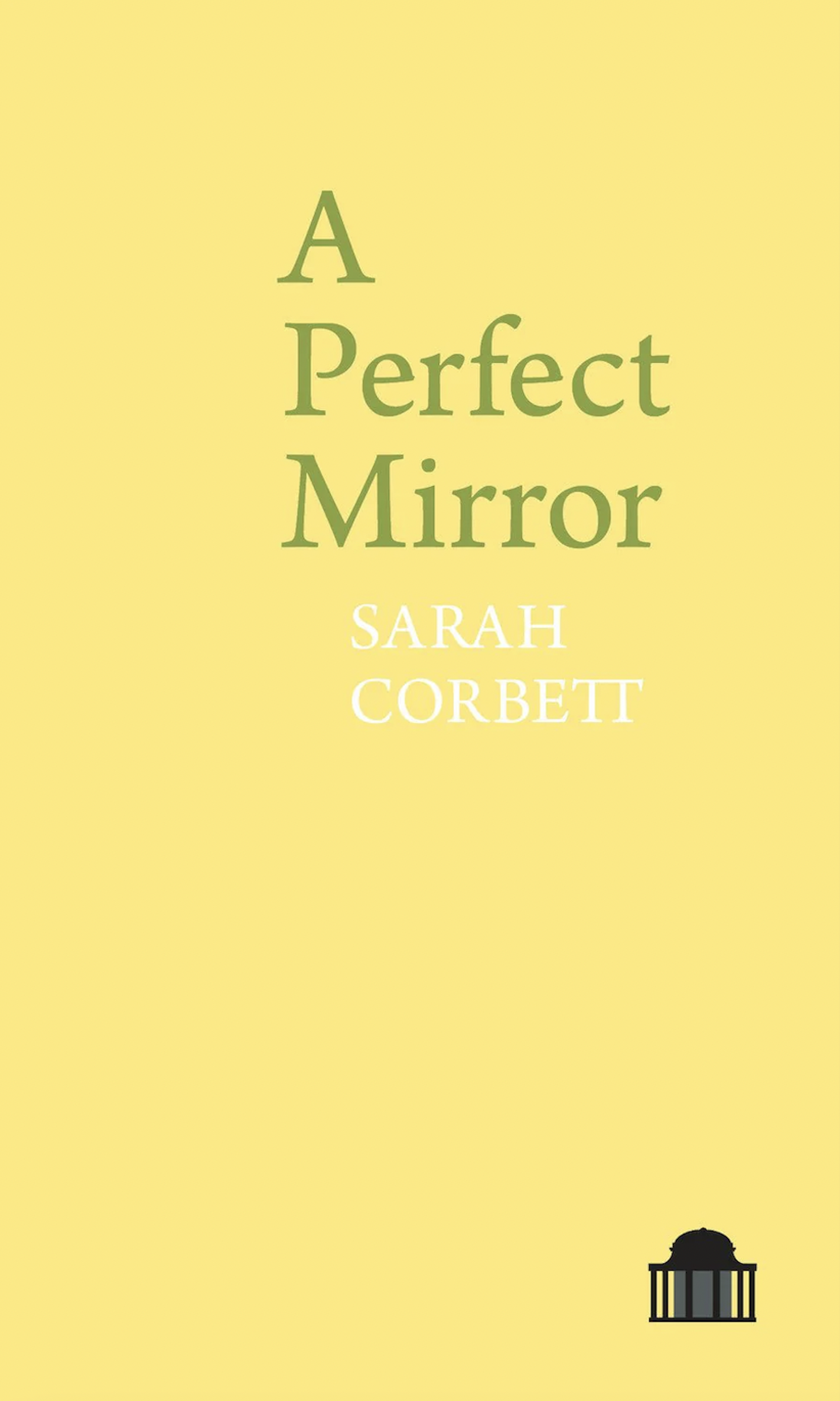 author's poetry book, A Perfect Mirror