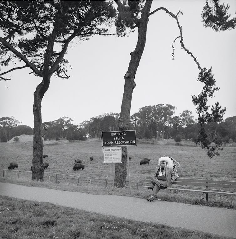 A immediately face, with a wink – the delicate humor of deadpan pictures 2 Man in Native American regalia posing on a bench in front of grazing buffaloes.