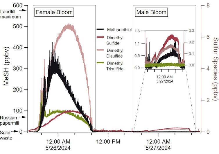 A chart tracks four chemicals rising quickly and powerful during the female bloom, then rising much more subtly during the male bloom.