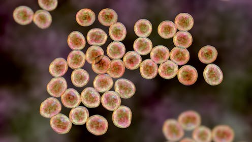 AI has produced 2 new antibiotics to kill ‘superbugs’. It’s promising – but we shouldn’t get too excited yet